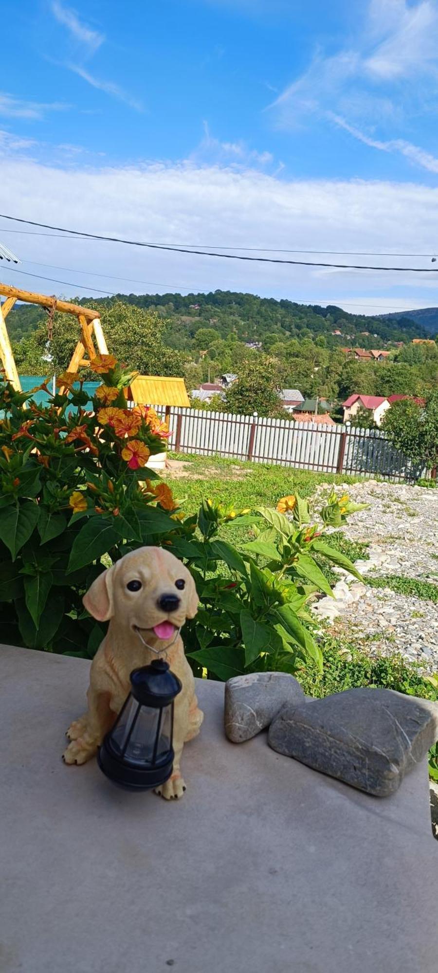 Casuta Din Livada Villa Secaria ภายนอก รูปภาพ